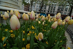 Day01 - London (79)